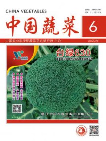 中国蔬菜杂志